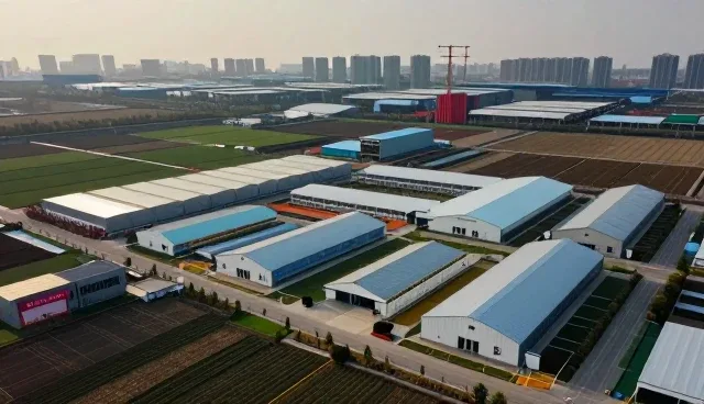 技术开发如何通过实际场景提升业务效率